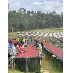 Thor Helmet - Ethiopie à Mon-Cafe.com