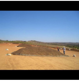 Fazenda Esmeril, Brésil : séchage du café sur terrasse