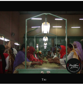 Moka Harrar Bashaweh, Éthiopie : le tri des grains