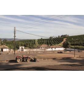 Sao Jose, Brésil : la ferme et ses plantations