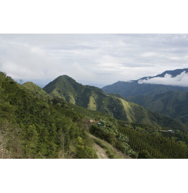 Montagnes du Huila, Colombie, entre les cordillères Centrale et Orientale