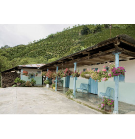 Ferme caféière fleurie dans le département du Huila, Colombie