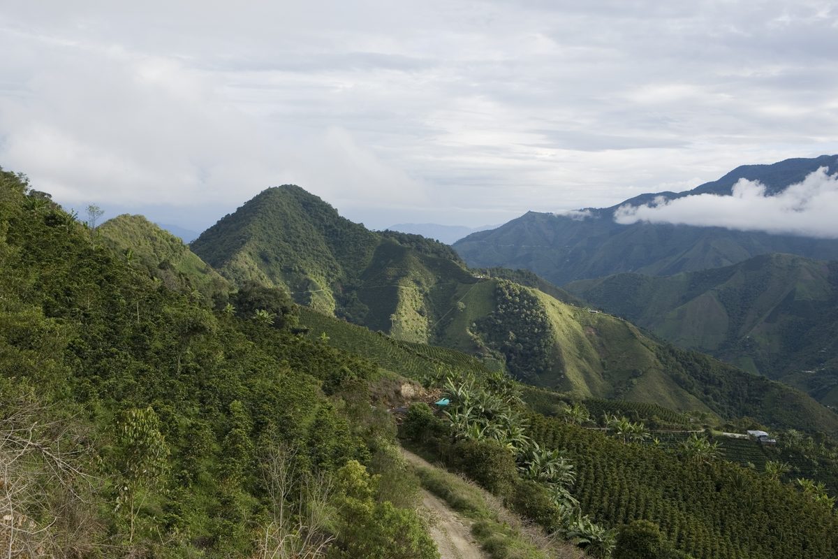 Montagnes du Huila, Colombie, entre les cordillères Centrale et Orientale