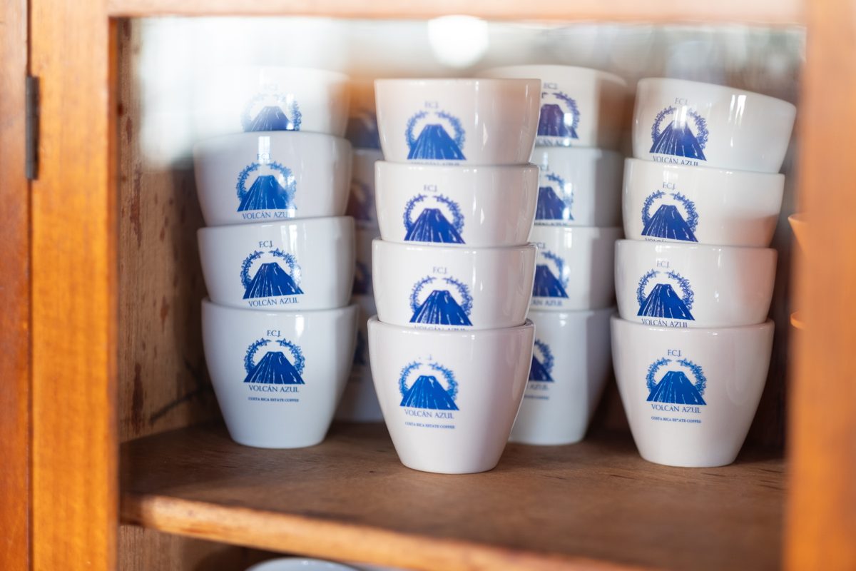 Tasses de dégustation aux armes de Volcán Azul, Costa Rica
