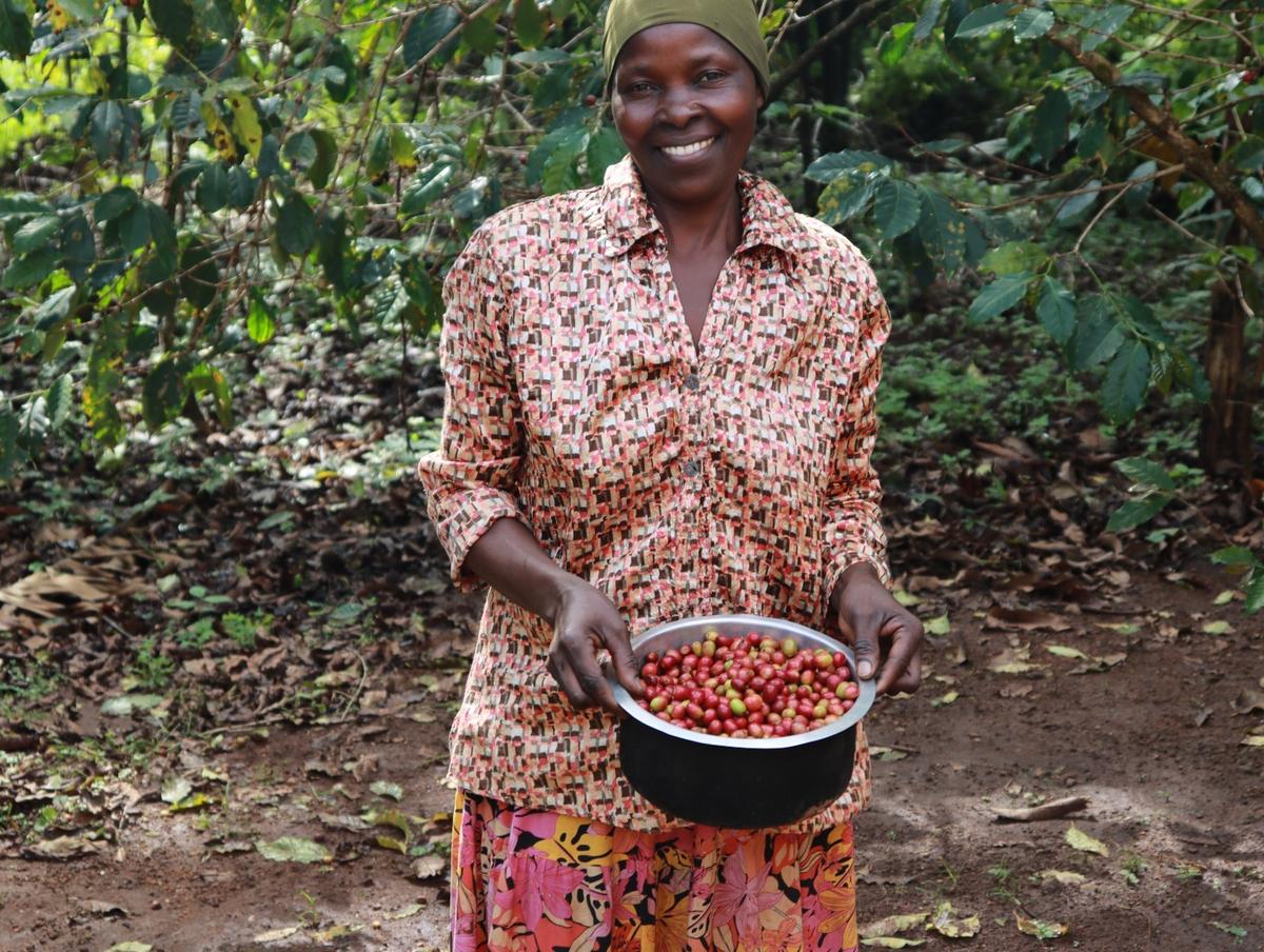 Productrice de café de l'association BOFA à Bufumbo, Ouganda, avec sa récolte de cerises