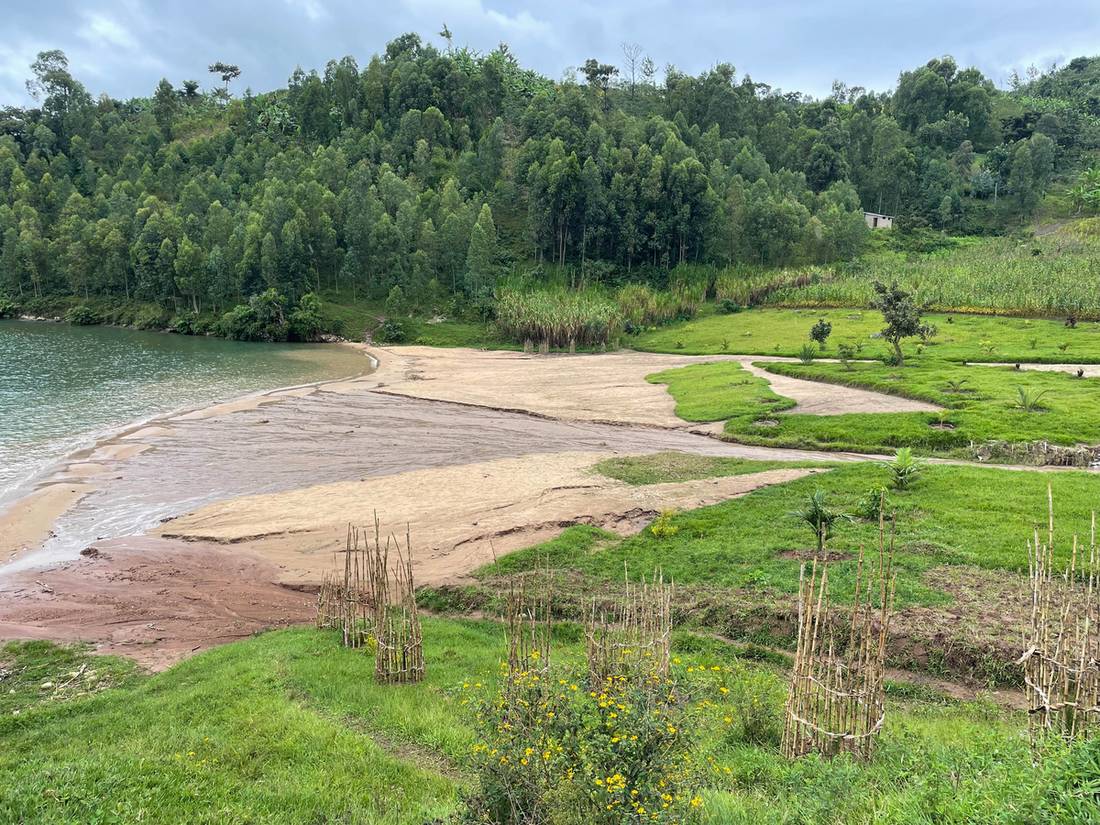 Collines caféières au bord du lac Kivu, ouest du Rwanda